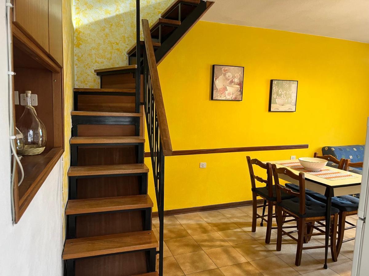 Little Flower Apartment Corfino Esterno foto